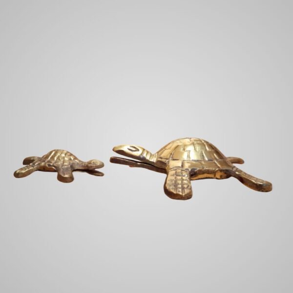 Tortoise Lucky Charm Set (2 Pieces) – Vastu Feng Shui Figurine