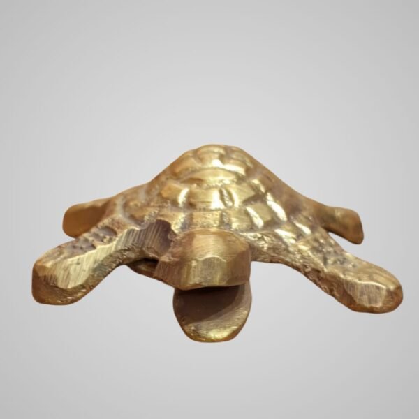 Tortoise Lucky Charm Set (2 Pieces) – Vastu Feng Shui Figurine - Image 4